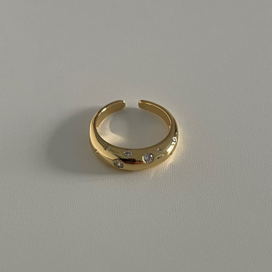 Nicki Ring