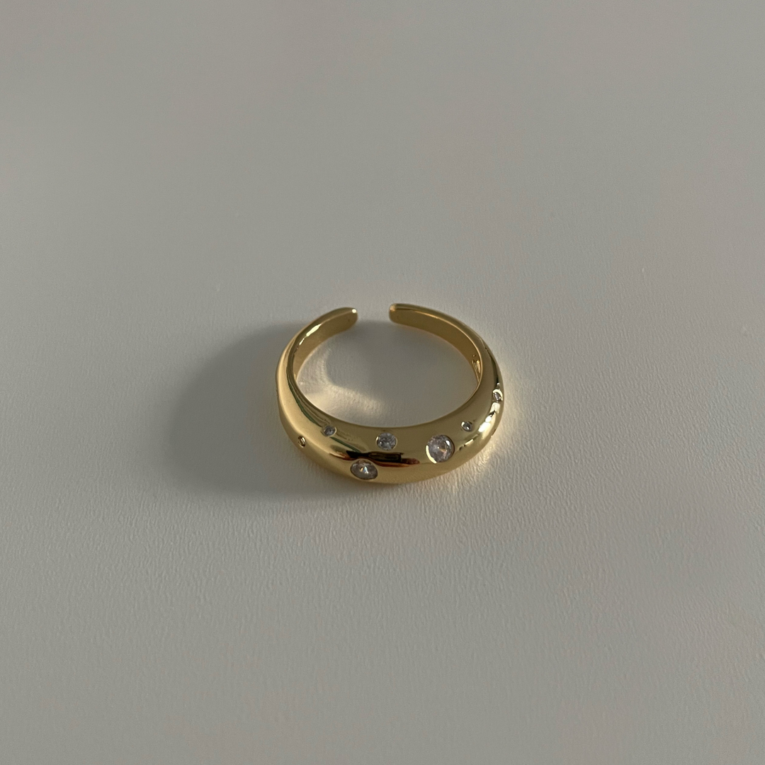 Nicki Ring