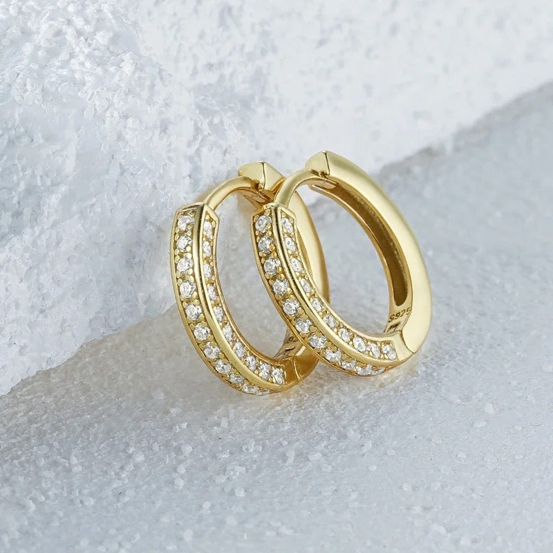 Trista Zirconia Earring